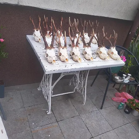 Toporzanka Çiftlik konaklama *