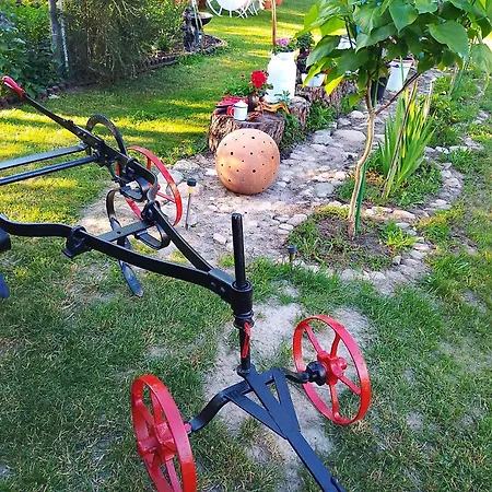 Toporzanka Çiftlik konaklama Toporzysko (Torun)